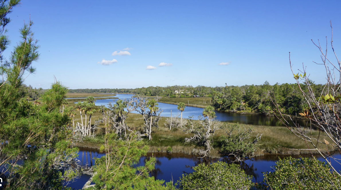 New Smyrna Beach for Nature Lovers: Exploring the Great Outdoors - The  Inlet at New Smyrna, image size:1190x664